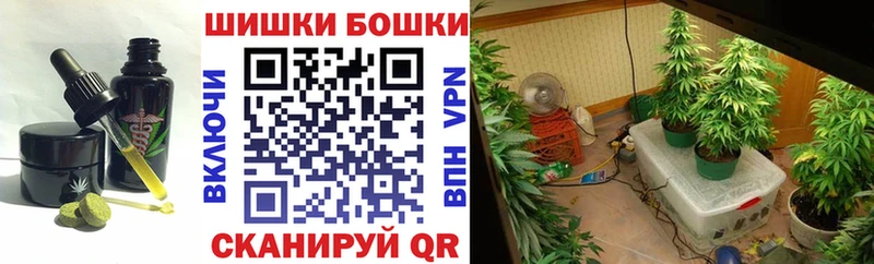 купить   Арсеньев  Cannafood конопля 