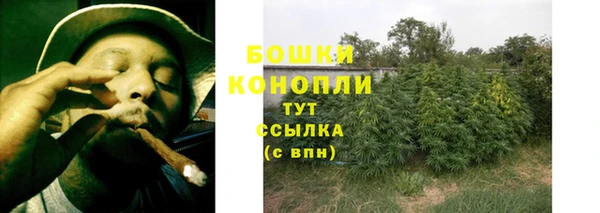 тгк Ростов