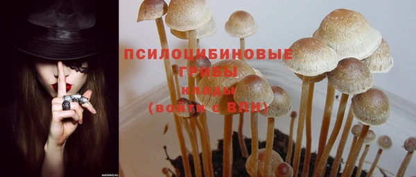 спиды Арсеньев