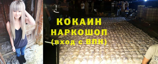 мдпв Рославль