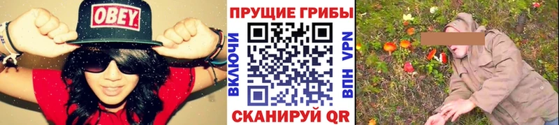 Галлюциногенные грибы Cubensis  сколько стоит  гидра онион  Арсеньев 